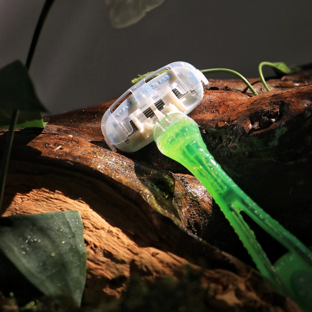 تیغ گلوریا۵ سبز - Image 3